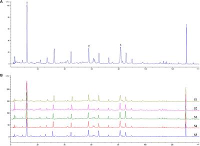 Qingpeng Ointment Ameliorates Inflammatory Responses and Dysregulation of Itch-Related Molecules for Its Antipruritic Effects in Experimental Allergic Contact Dermatitis